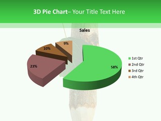 Leaves Drawing Green PowerPoint Template
