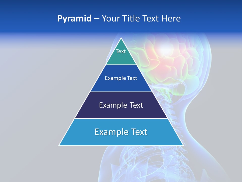 Wonder Metallic Human PowerPoint Template