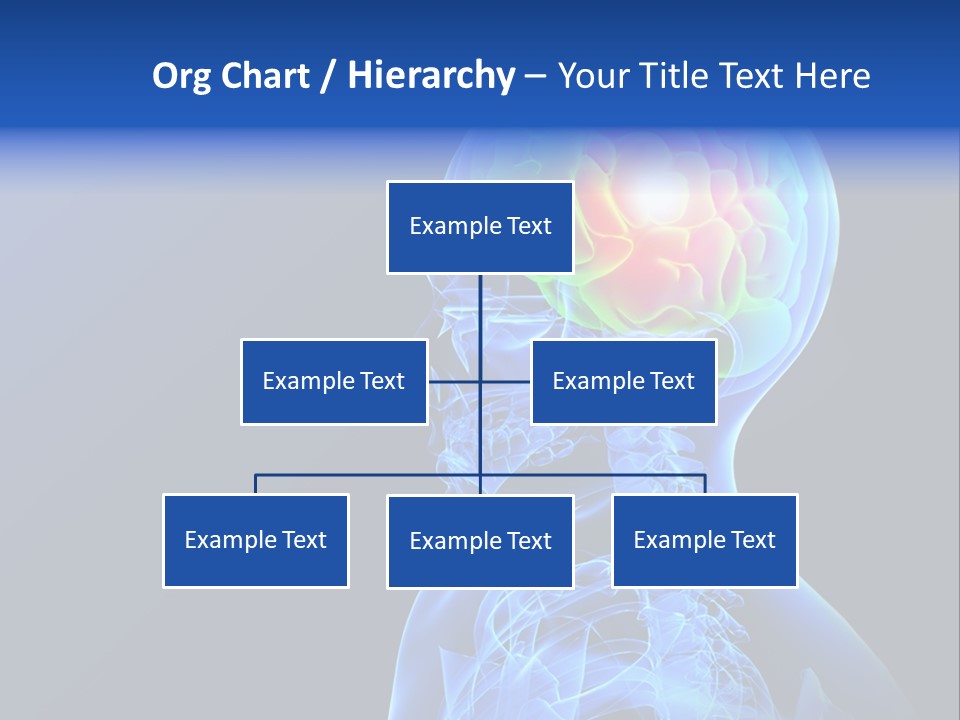 Wonder Metallic Human PowerPoint Template
