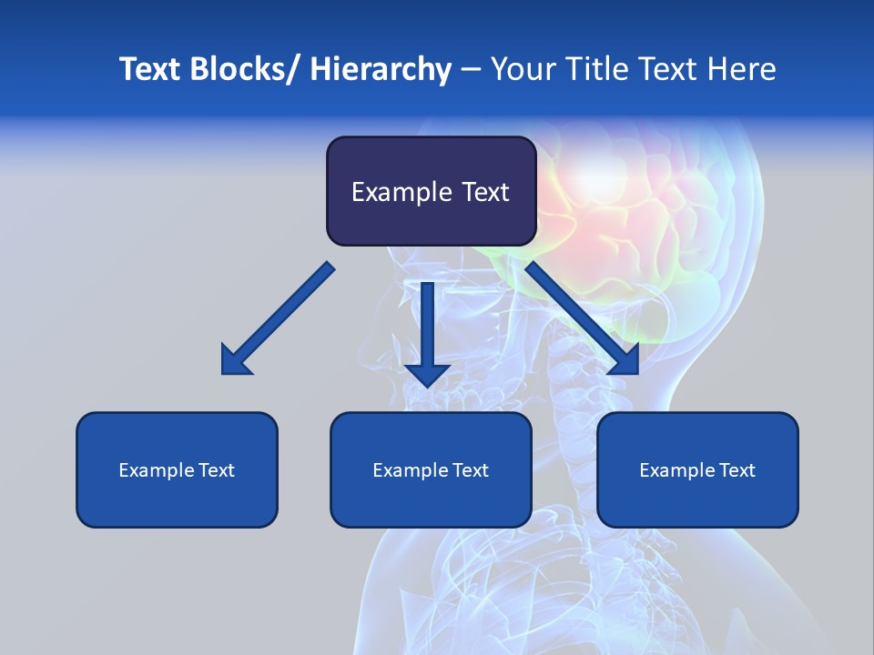 Wonder Metallic Human PowerPoint Template