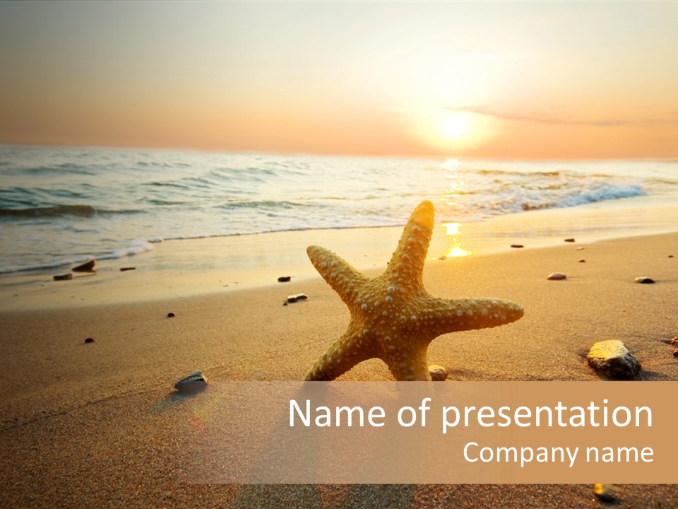 Travel Wave Sunny PowerPoint Template