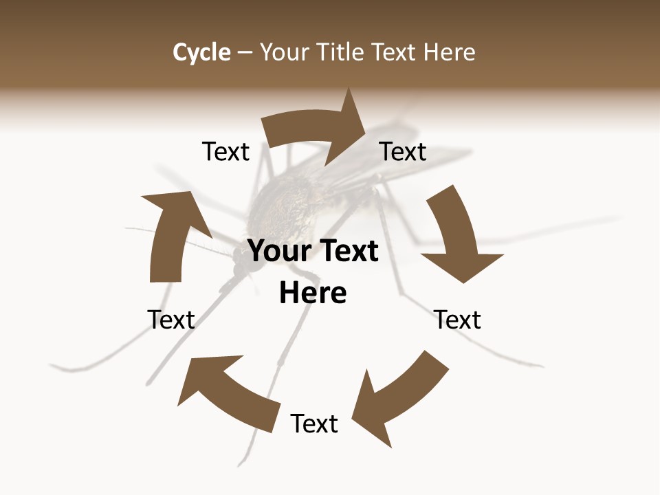 Parasitic Isolation White Background PowerPoint Template