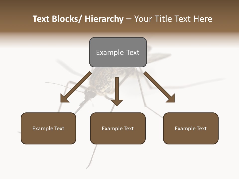 Parasitic Isolation White Background PowerPoint Template