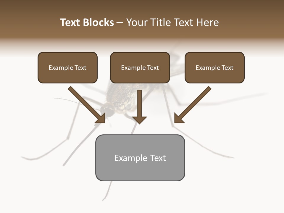 Parasitic Isolation White Background PowerPoint Template