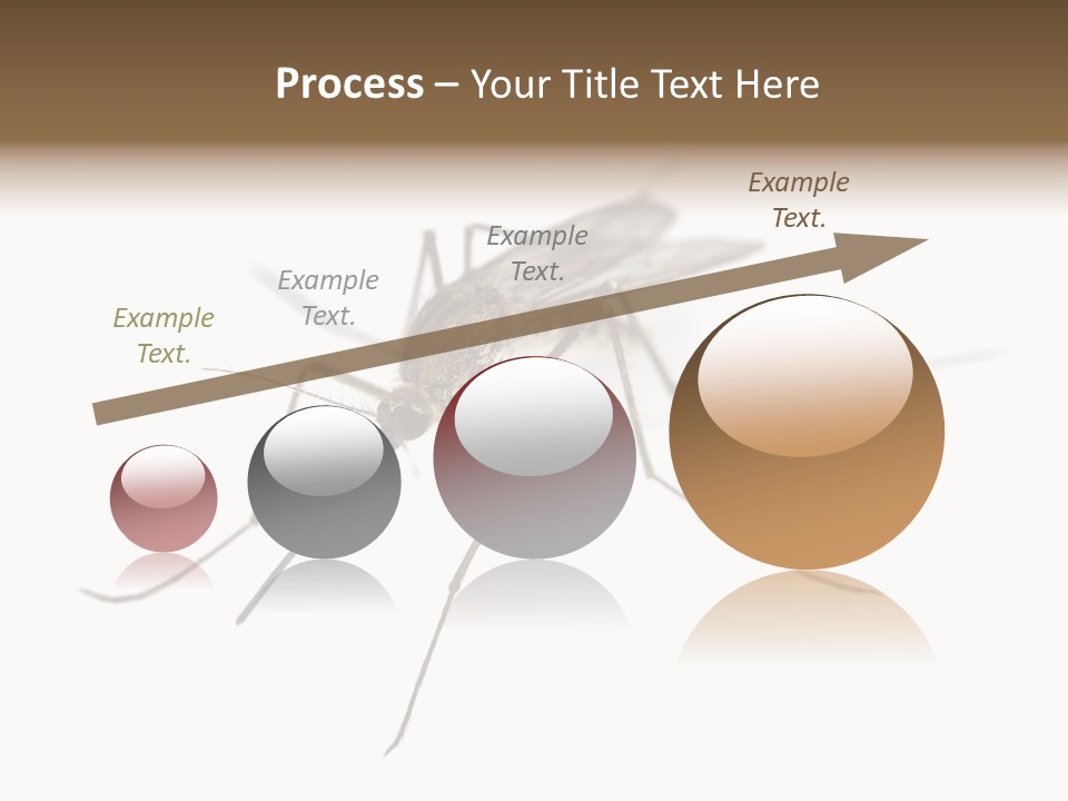 Parasitic Isolation White Background PowerPoint Template