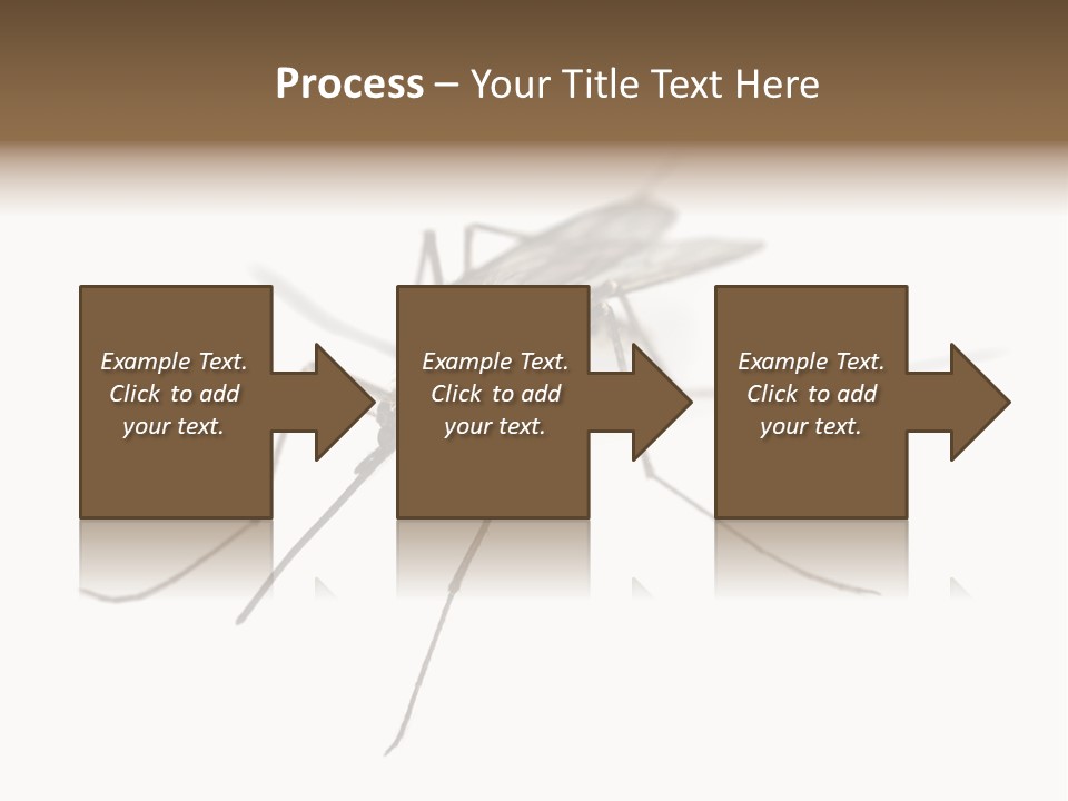 Parasitic Isolation White Background PowerPoint Template