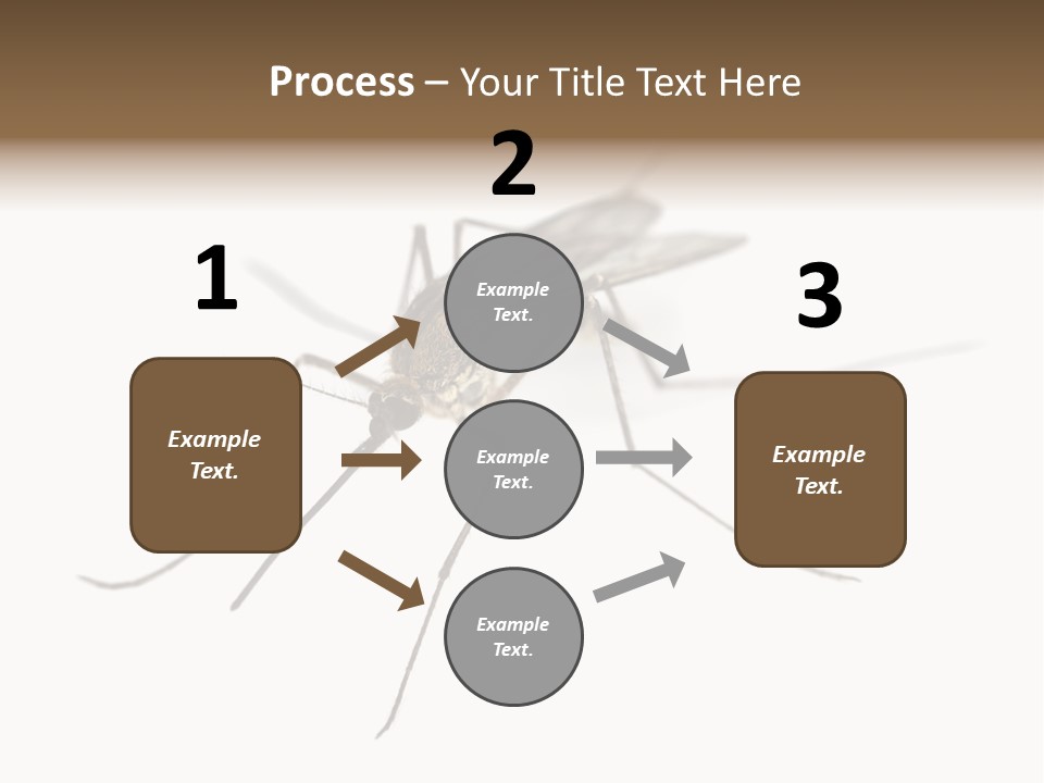 Parasitic Isolation White Background PowerPoint Template