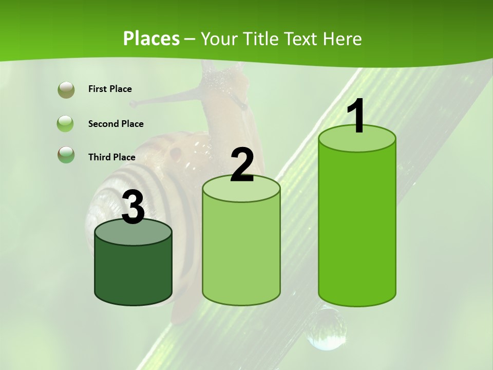 Liquid Sunlight Close Up PowerPoint Template