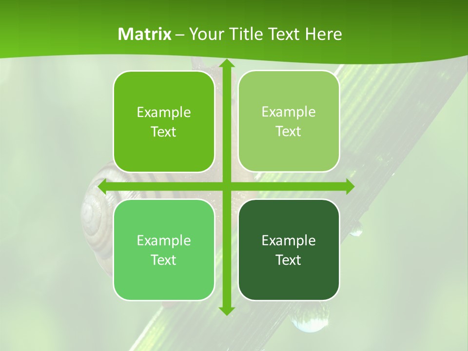 Liquid Sunlight Close Up PowerPoint Template