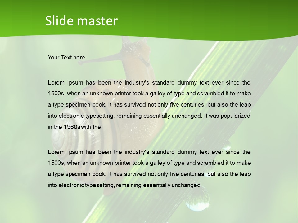 Liquid Sunlight Close Up PowerPoint Template