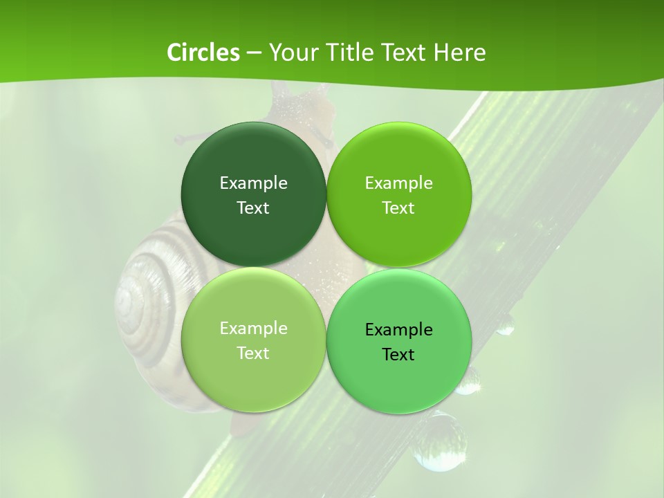 Liquid Sunlight Close Up PowerPoint Template