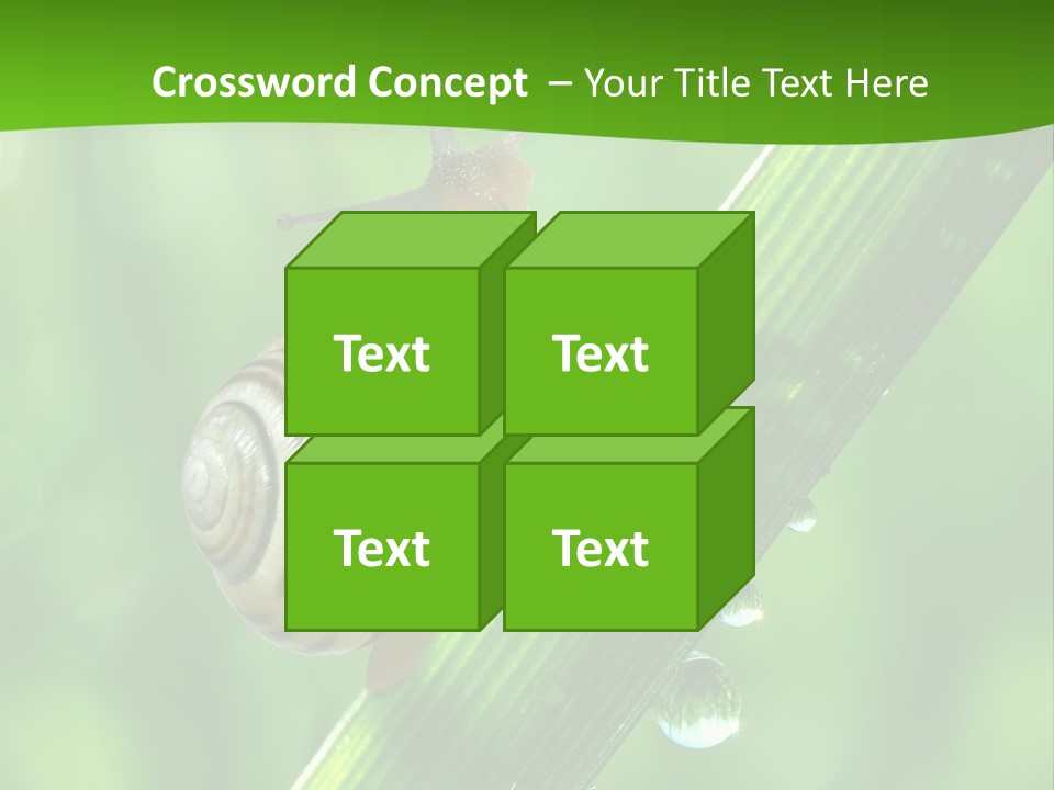 Liquid Sunlight Close Up PowerPoint Template