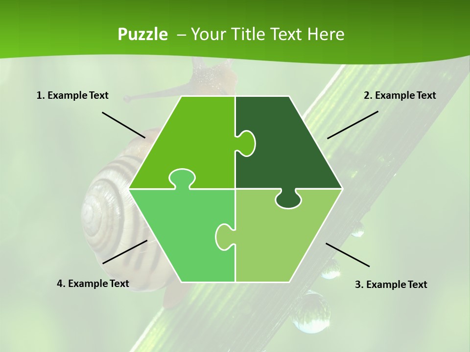 Liquid Sunlight Close Up PowerPoint Template