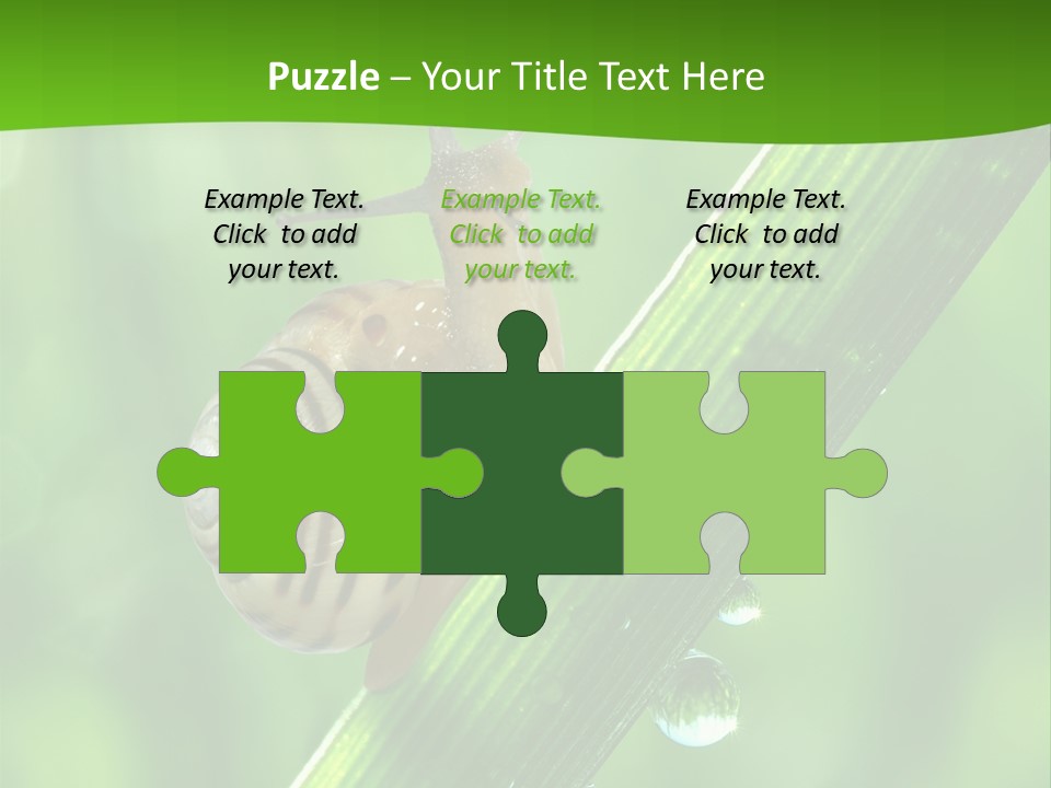 Liquid Sunlight Close Up PowerPoint Template