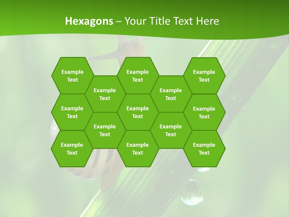 Liquid Sunlight Close Up PowerPoint Template