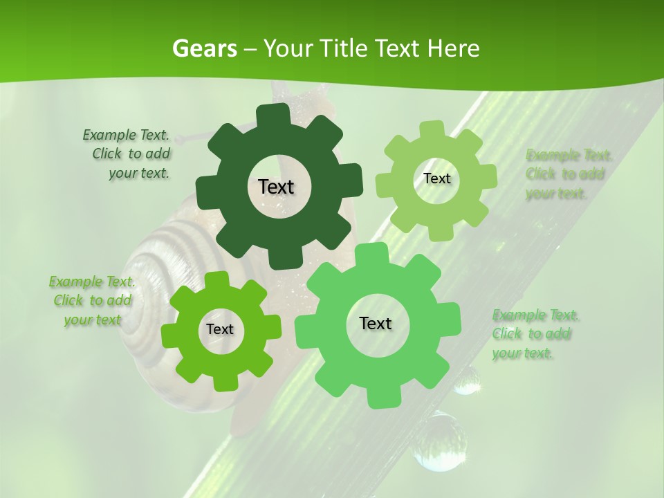 Liquid Sunlight Close Up PowerPoint Template