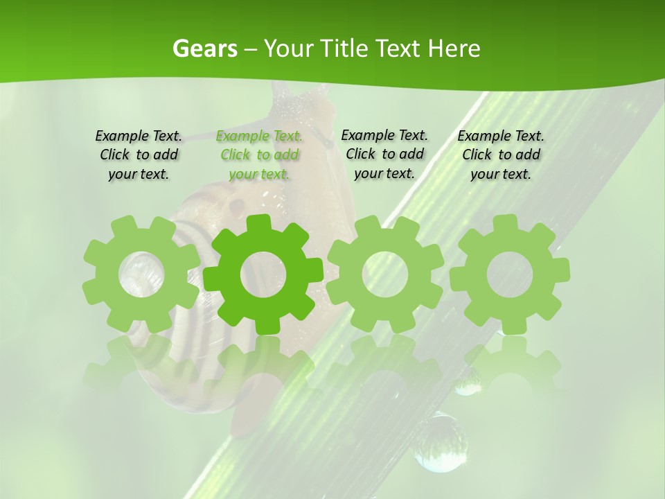 Liquid Sunlight Close Up PowerPoint Template