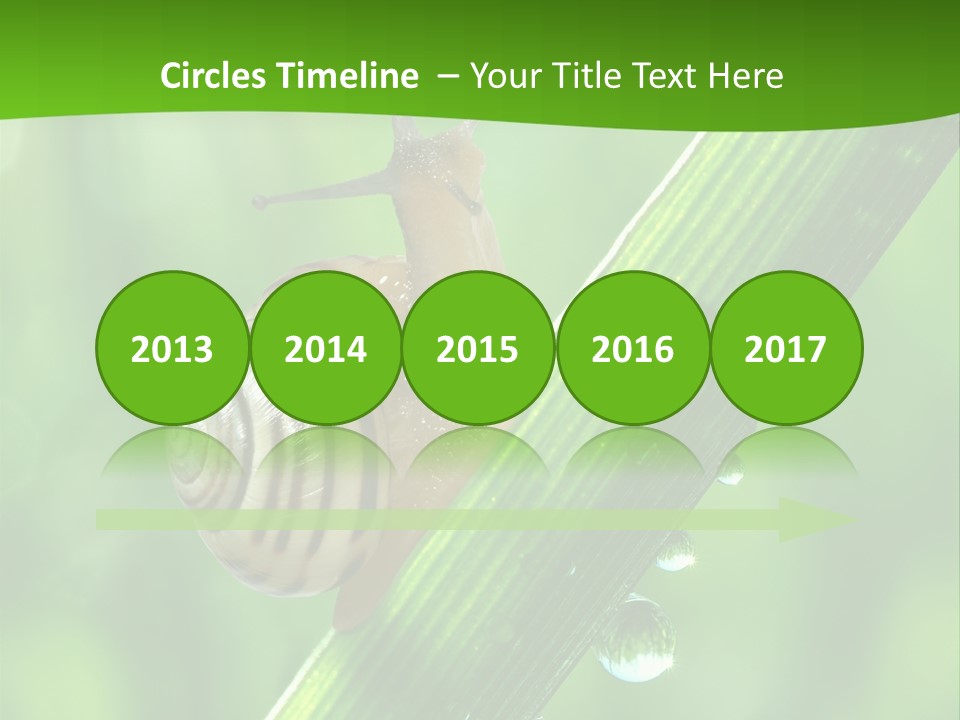 Liquid Sunlight Close Up PowerPoint Template