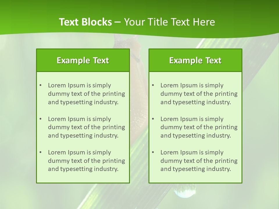 Liquid Sunlight Close Up PowerPoint Template