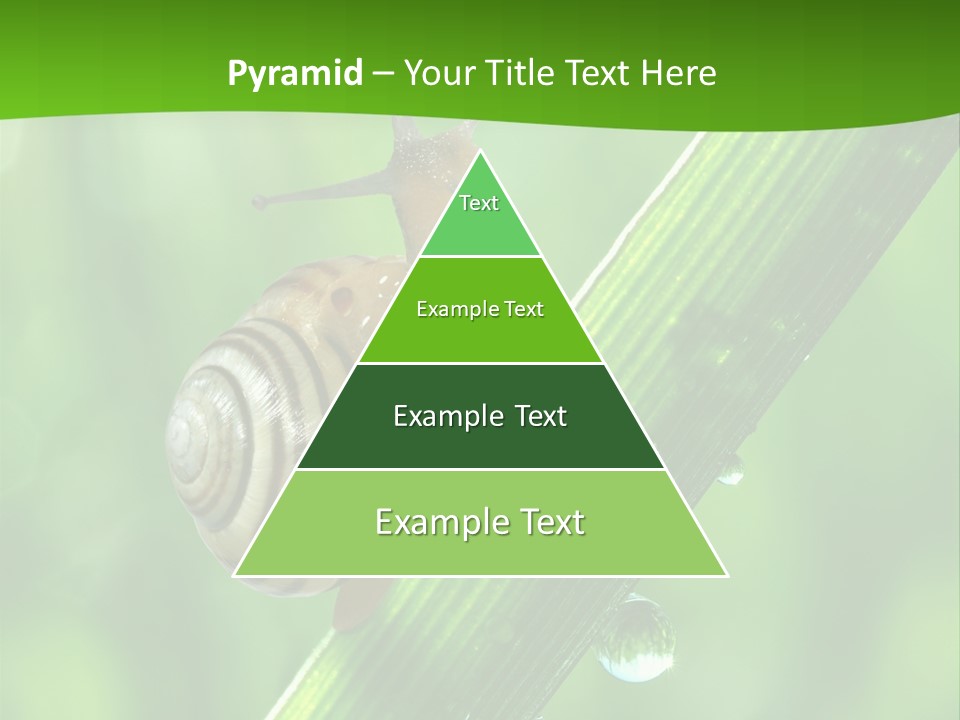 Liquid Sunlight Close Up PowerPoint Template