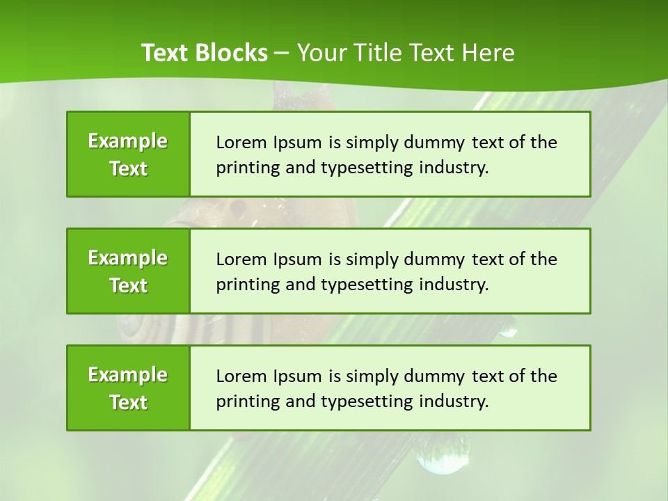 Liquid Sunlight Close Up PowerPoint Template