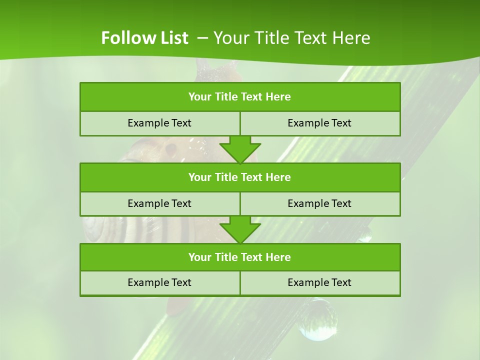 Liquid Sunlight Close Up PowerPoint Template