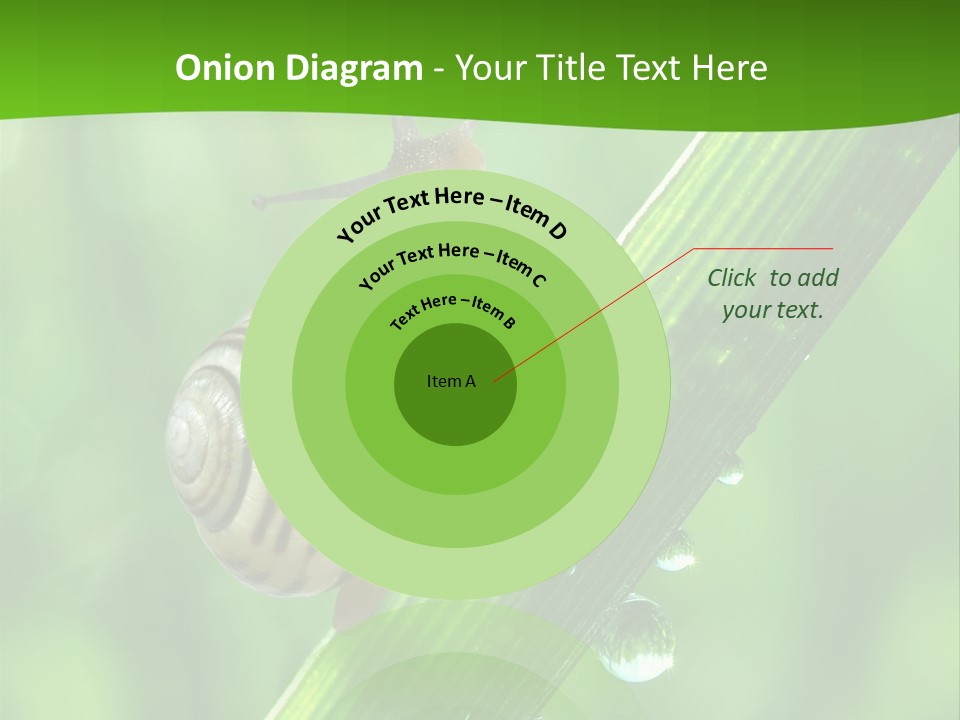 Liquid Sunlight Close Up PowerPoint Template