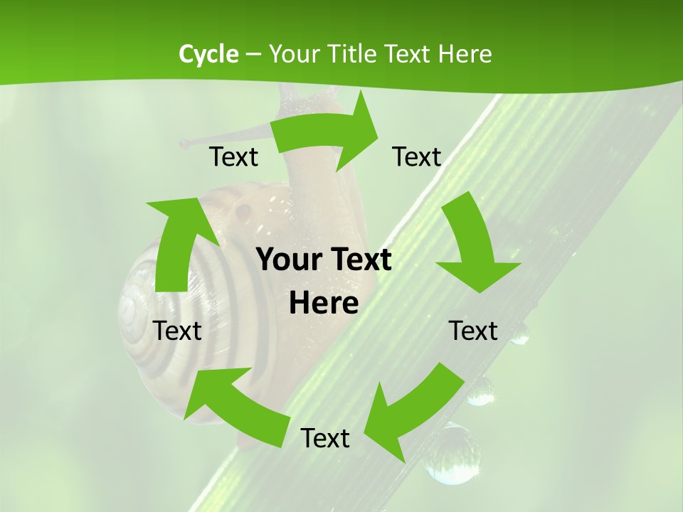 Liquid Sunlight Close Up PowerPoint Template