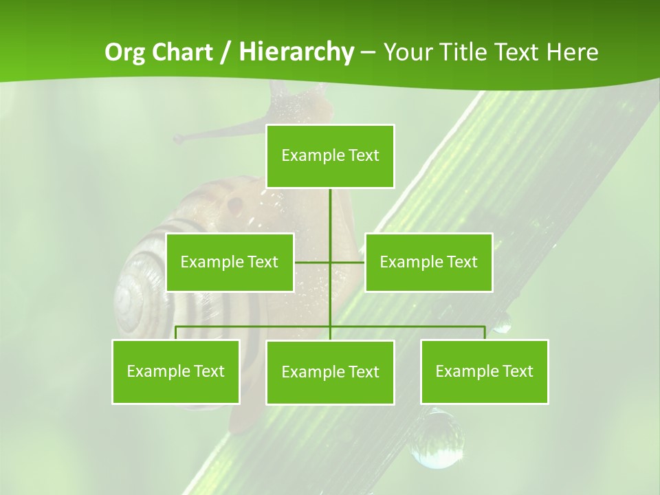 Liquid Sunlight Close Up PowerPoint Template