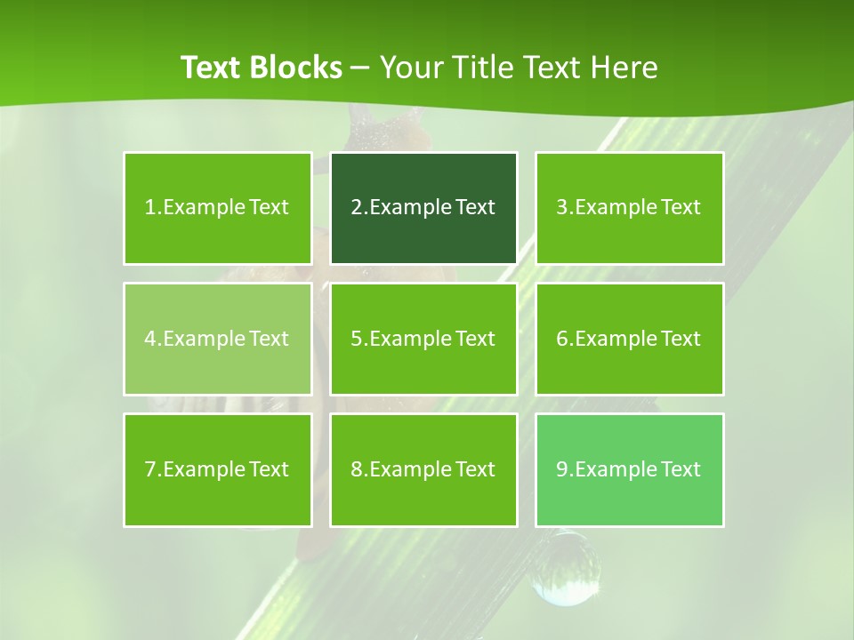 Liquid Sunlight Close Up PowerPoint Template