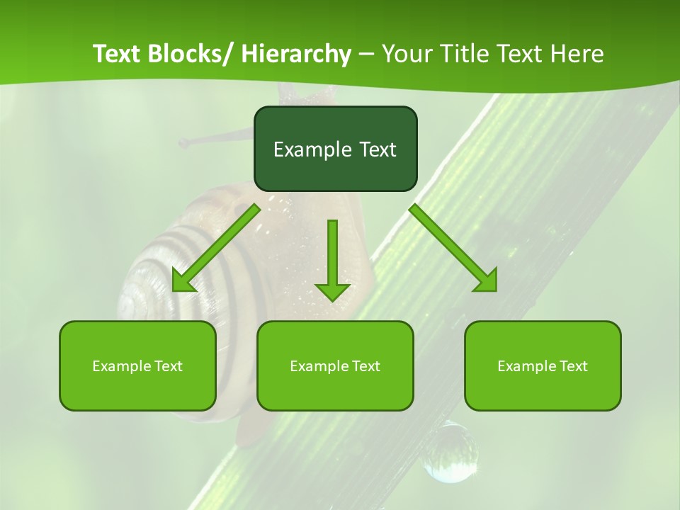 Liquid Sunlight Close Up PowerPoint Template