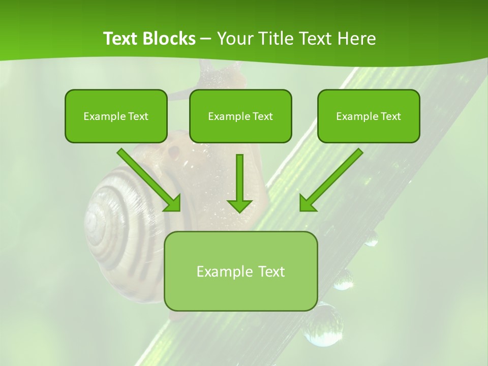 Liquid Sunlight Close Up PowerPoint Template