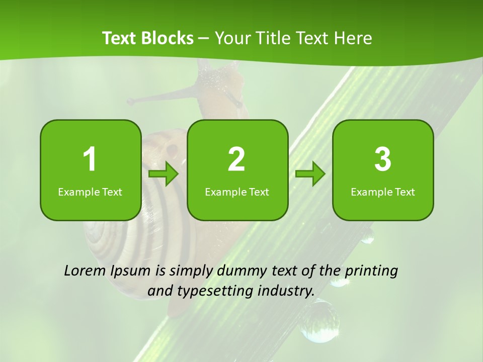 Liquid Sunlight Close Up PowerPoint Template