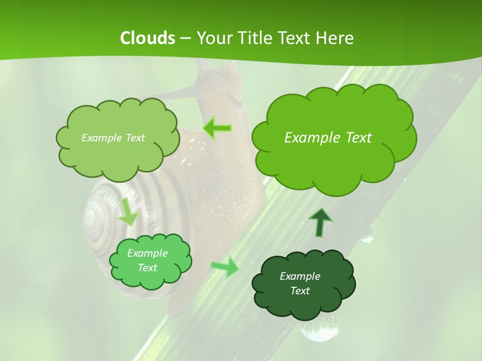 Liquid Sunlight Close Up PowerPoint Template