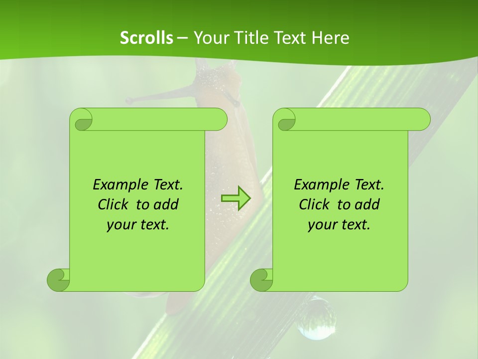 Liquid Sunlight Close Up PowerPoint Template