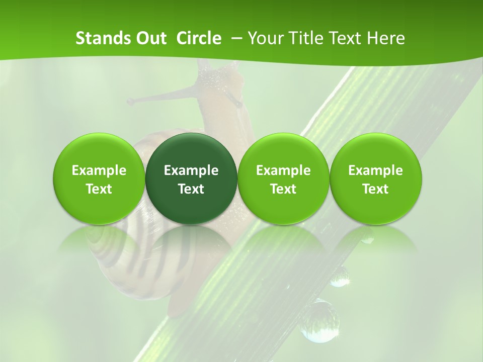 Liquid Sunlight Close Up PowerPoint Template