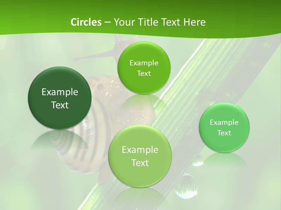 Liquid Sunlight Close Up PowerPoint Template
