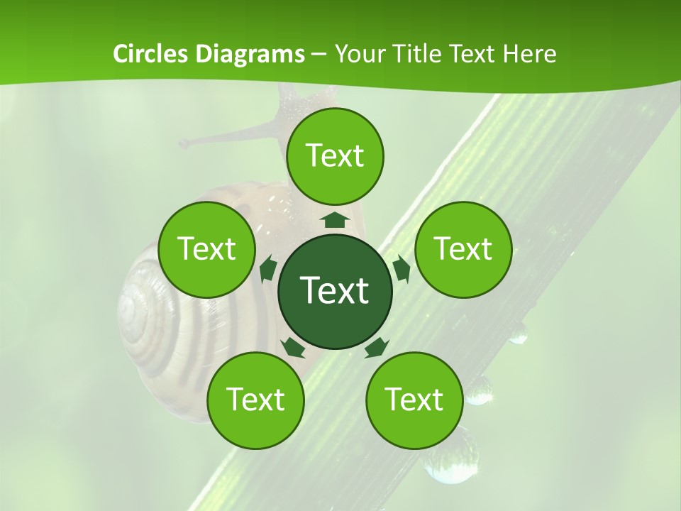 Liquid Sunlight Close Up PowerPoint Template