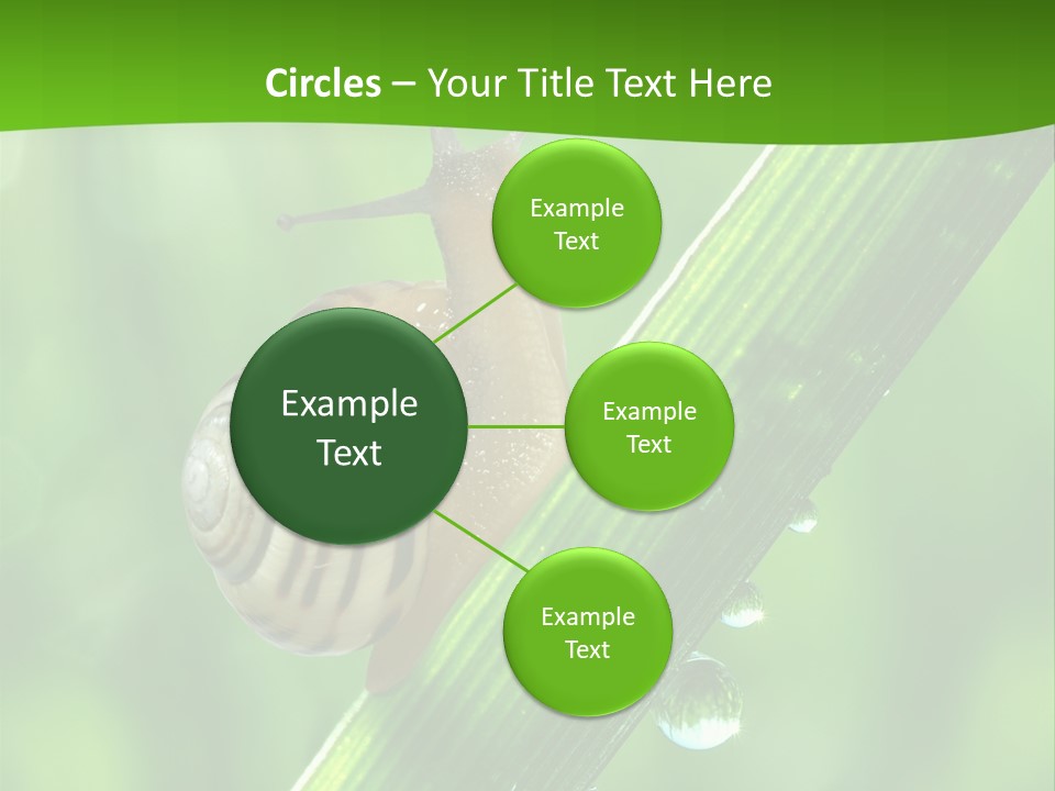 Liquid Sunlight Close Up PowerPoint Template