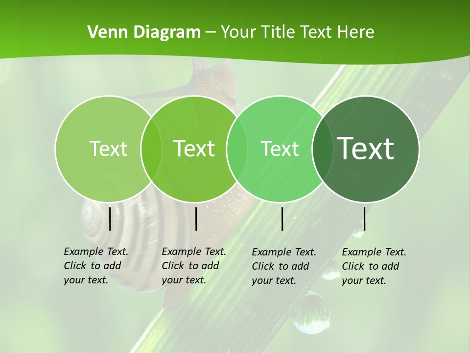 Liquid Sunlight Close Up PowerPoint Template
