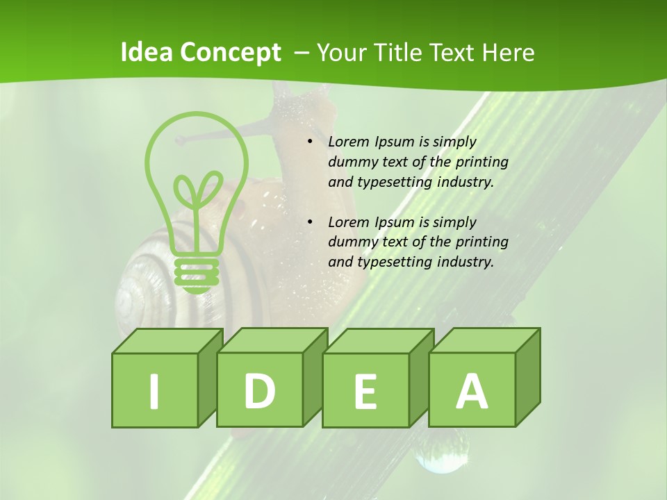 Liquid Sunlight Close Up PowerPoint Template