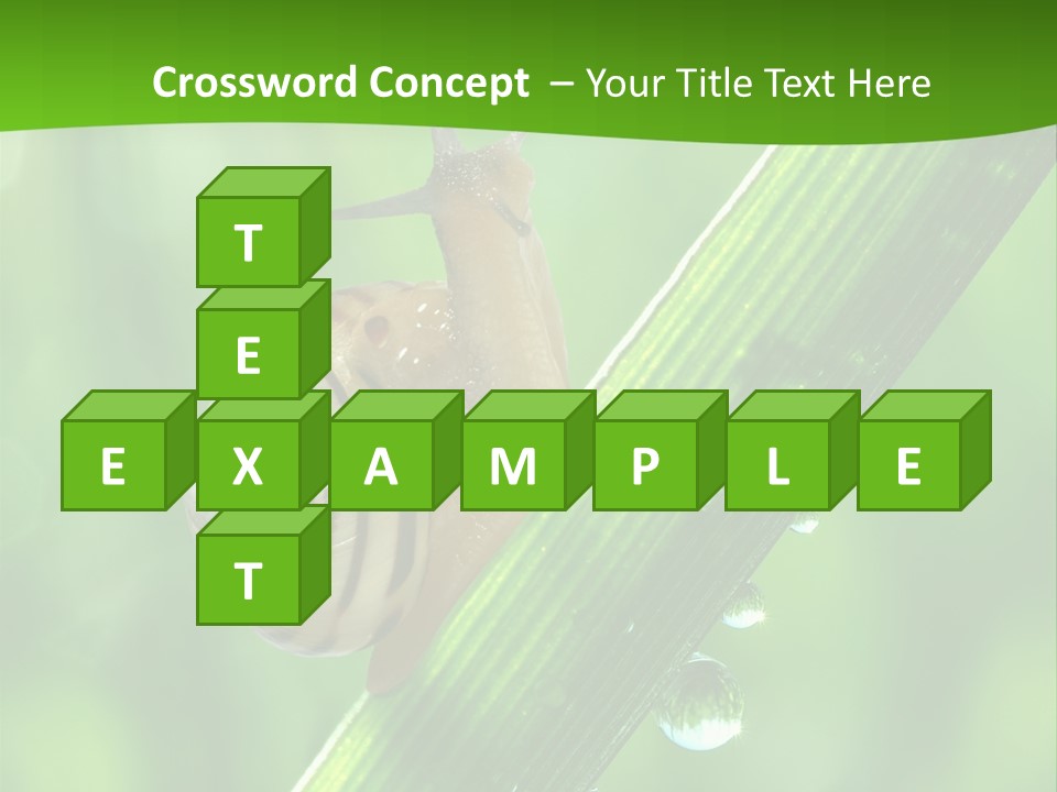 Liquid Sunlight Close Up PowerPoint Template