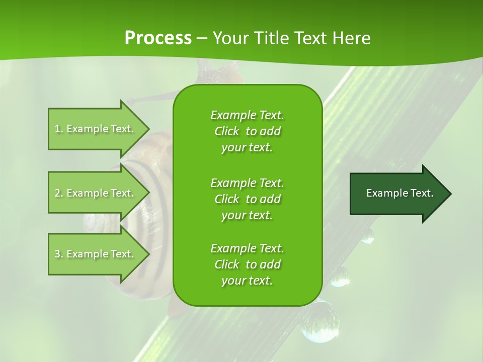 Liquid Sunlight Close Up PowerPoint Template