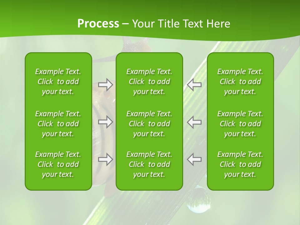 Liquid Sunlight Close Up PowerPoint Template