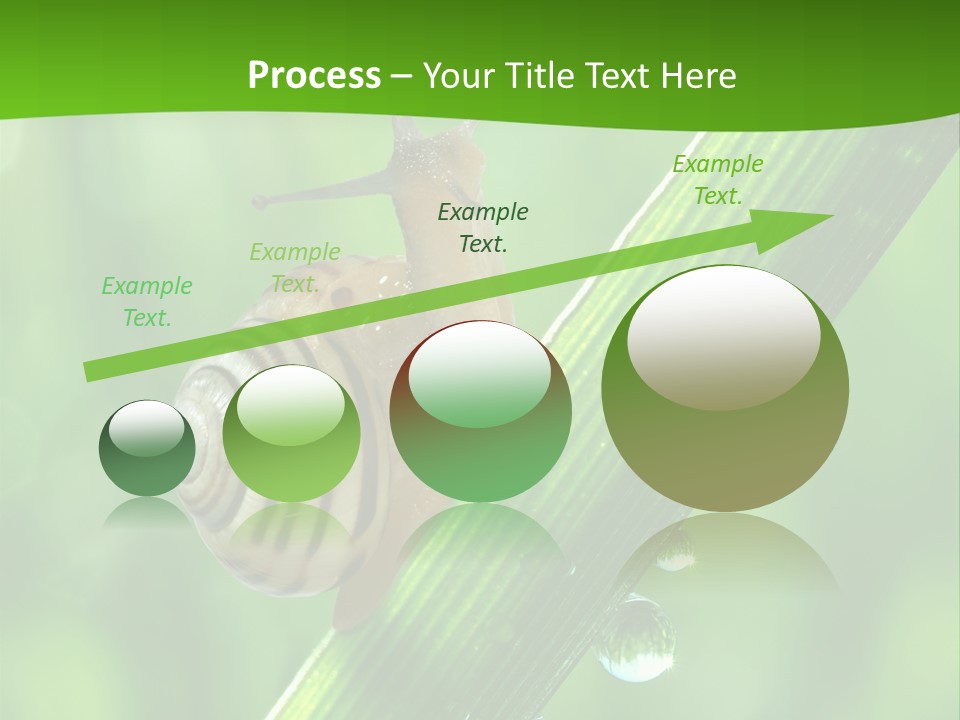 Liquid Sunlight Close Up PowerPoint Template