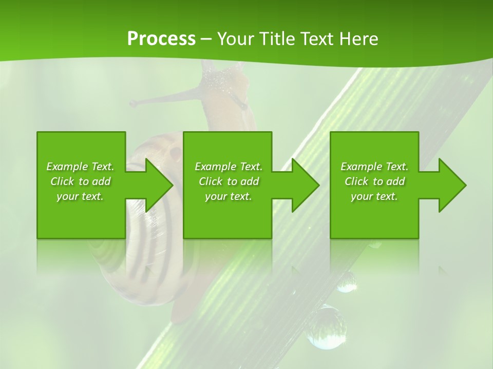 Liquid Sunlight Close Up PowerPoint Template