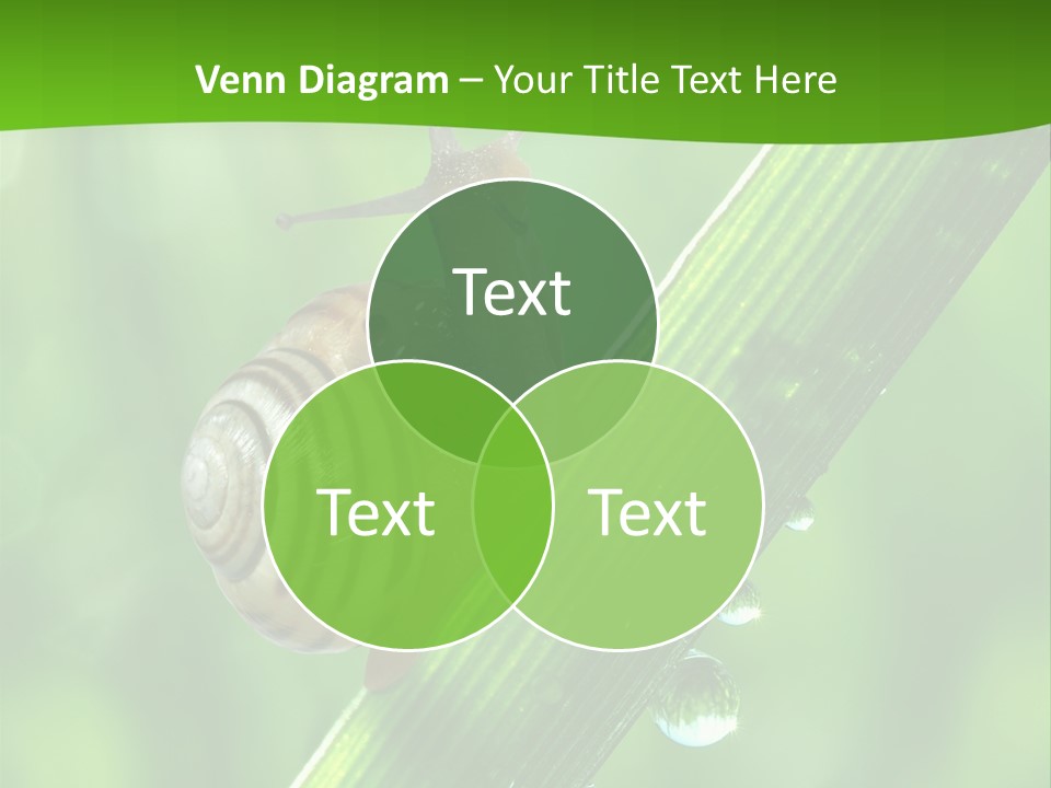 Liquid Sunlight Close Up PowerPoint Template