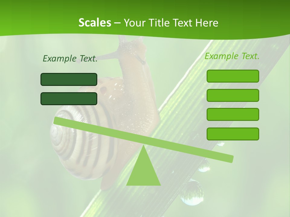 Liquid Sunlight Close Up PowerPoint Template