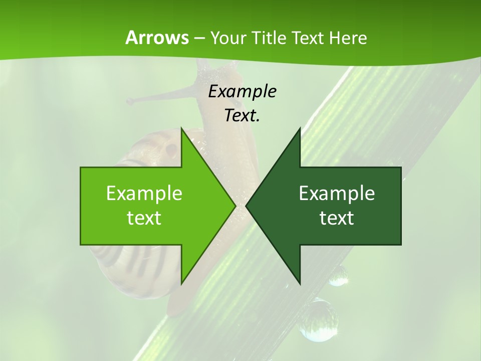 Liquid Sunlight Close Up PowerPoint Template