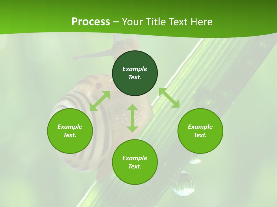 Liquid Sunlight Close Up PowerPoint Template